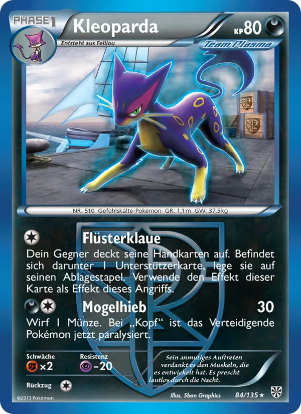 Kleoparda, Plasma-Sturm 84
