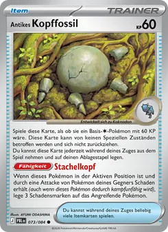 Antikes Kopffossil, Dunkelnacht 073