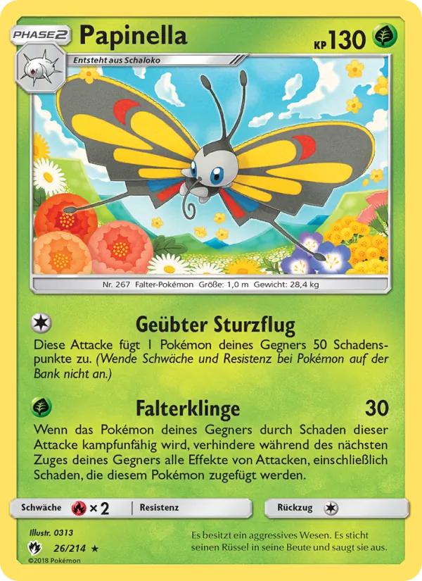 Papinella, Echo des Donners 26