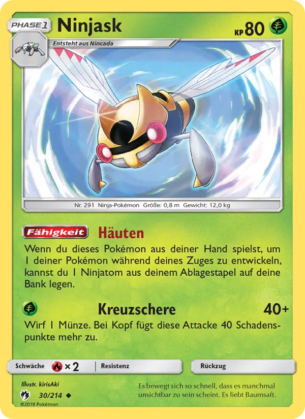 Ninjask, Echo des Donners 30