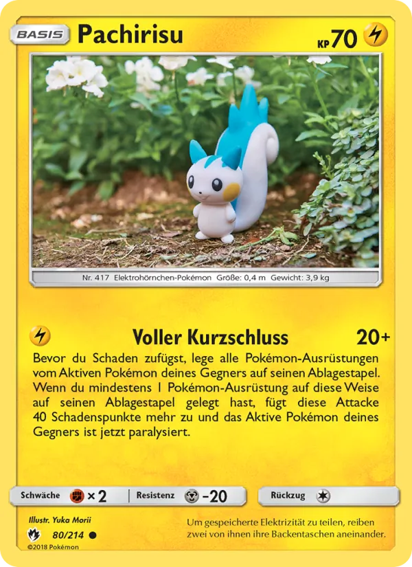 Pachirisu, Echo des Donners 80