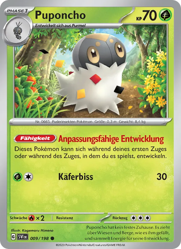 Puponcho, Karmesin & Purpur 009