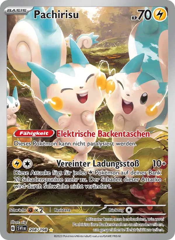 Pachirisu, Karmesin & Purpur 208
