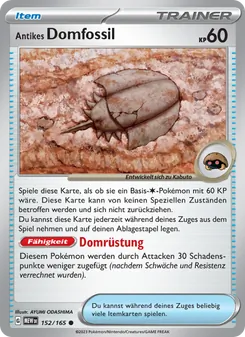 Antikes Domfossil, 151 152