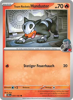 Team Rockets Hunduster, Ewige Rivalen 037