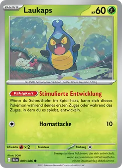 Laukaps, Schwarze Blitze 009
