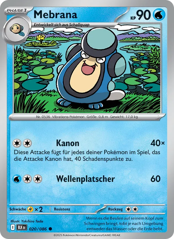 Mebrana, Schwarze Blitze 020