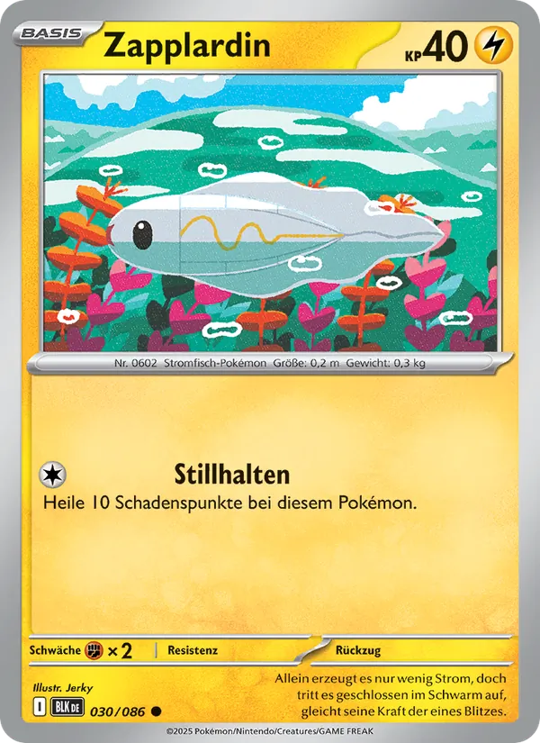 Zapplardin, Schwarze Blitze 030