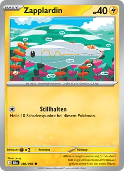 Zapplardin, Schwarze Blitze 030
