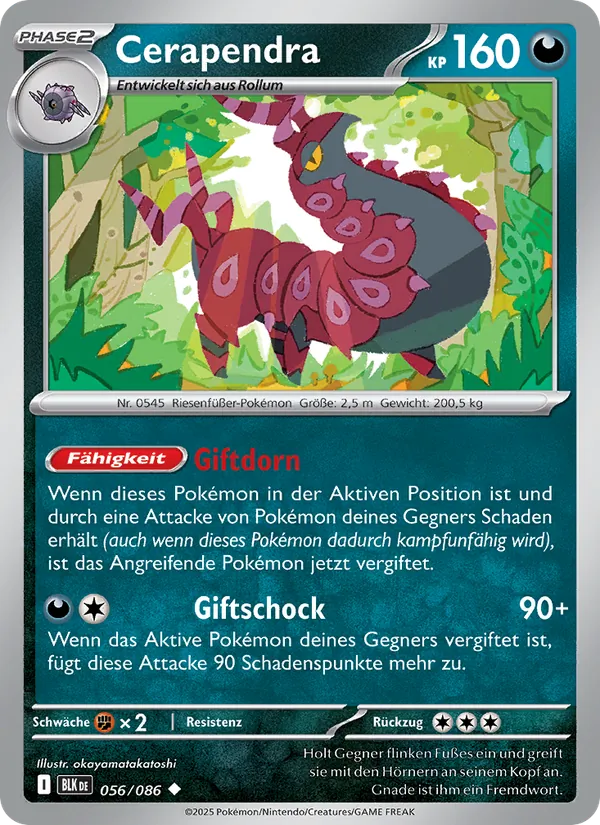 Cerapendra, Schwarze Blitze 056