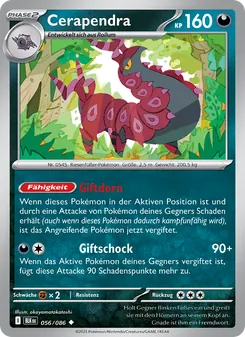 Cerapendra, Schwarze Blitze 056