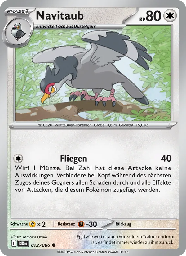 Navitaub, Schwarze Blitze 072