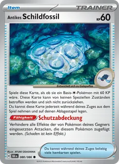 Antikes Schildfossil, Schwarze Blitze 080