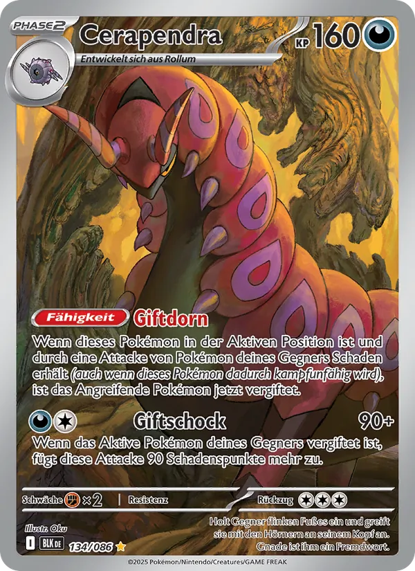 Cerapendra, Schwarze Blitze 134