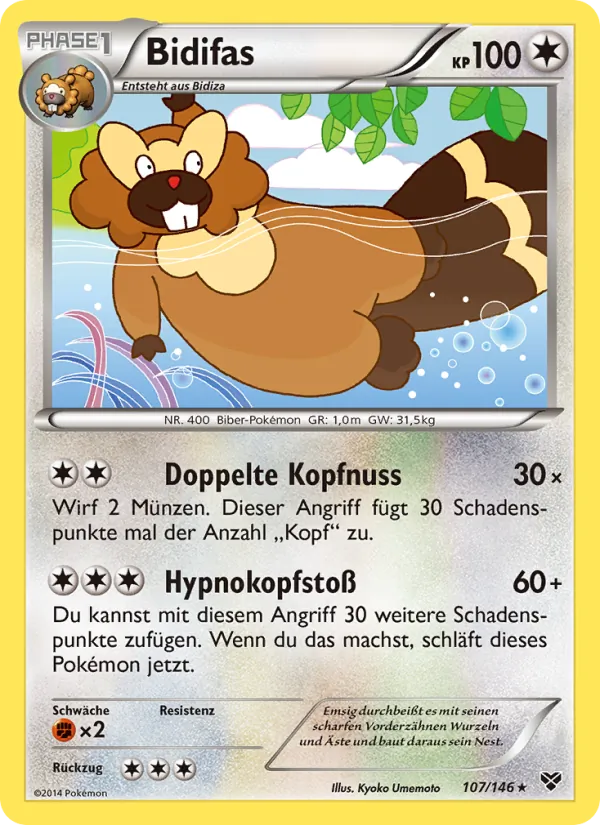 Bidifas, XY 107