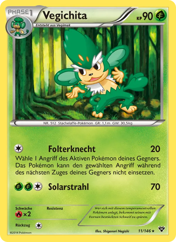 Vegichita, XY 11