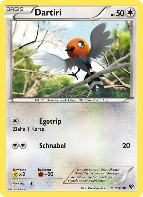 Dartiri, XY 113