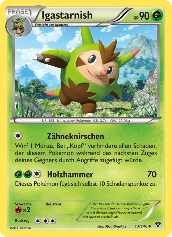 Igastarnish, XY 13