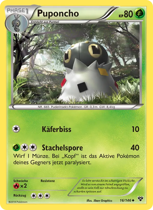 Puponcho, XY 16