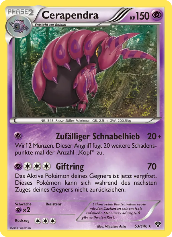 Cerapendra, XY 53