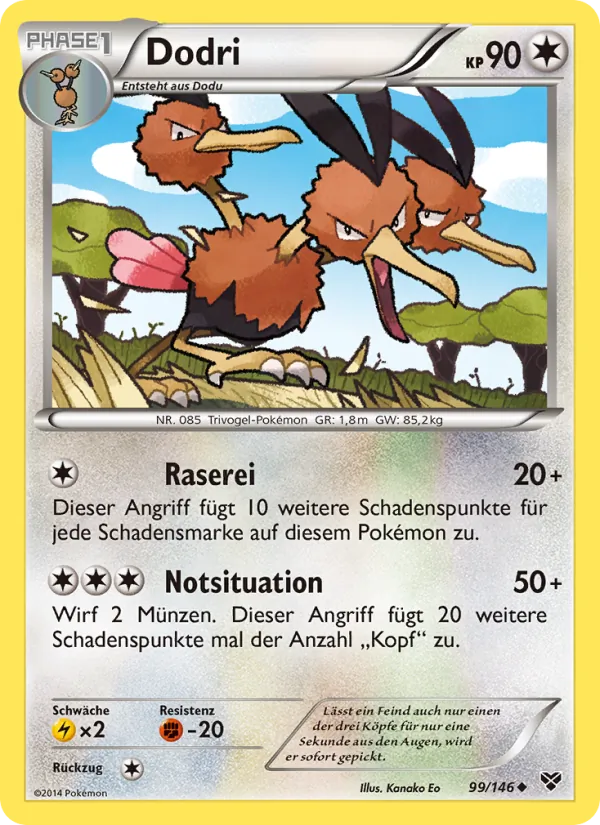 Dodri, XY 99
