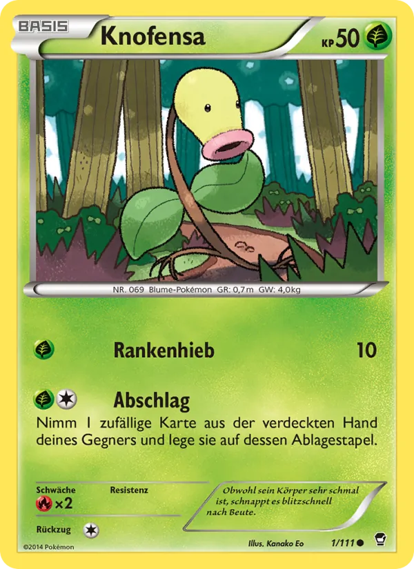 Knofensa, Fliegende Fäuste 1