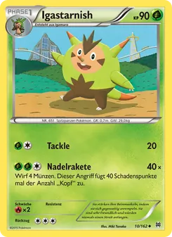 Igastarnish