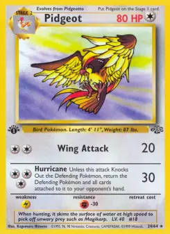 Pidgeot, Jungle 24