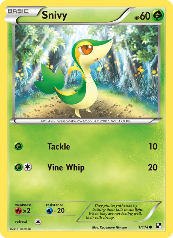 Snivy, Black & White 1
