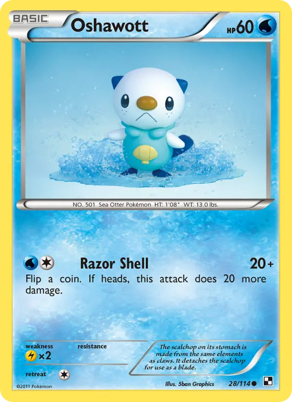 Oshawott, Black & White 28