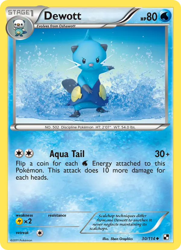Dewott, Black & White 30