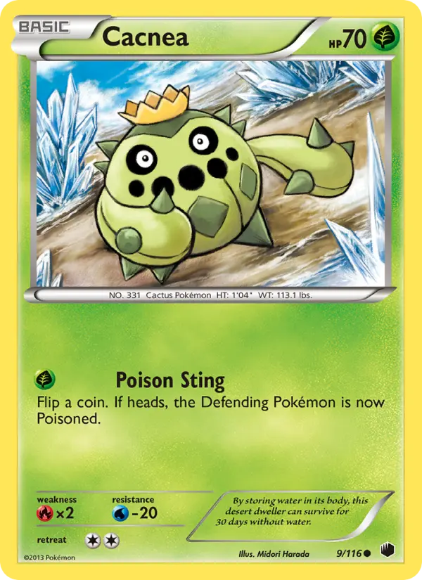 Cacnea, Plasma Freeze 9