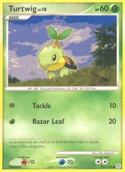 Turtwig, Diamond & Pearl 103