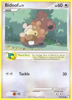Bidoof, Mysterious Treasures 73