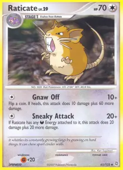 Raticate, Secret Wonders 61