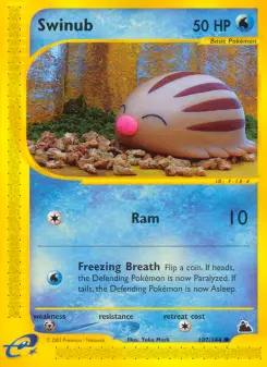Swinub, Skyridge 107