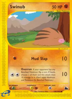 Swinub, Skyridge 108