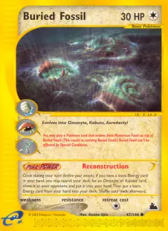 Buried Fossil, Skyridge 47