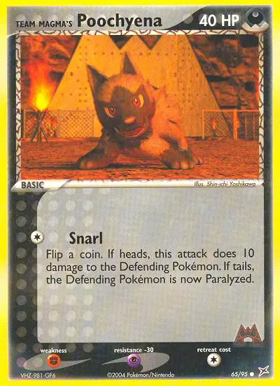 Team Magma's Poochyena, Team Magma vs Team Aqua 65