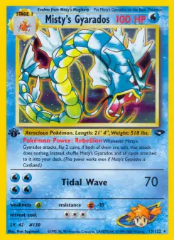 Misty's Gyarados, Gym Challenge 13