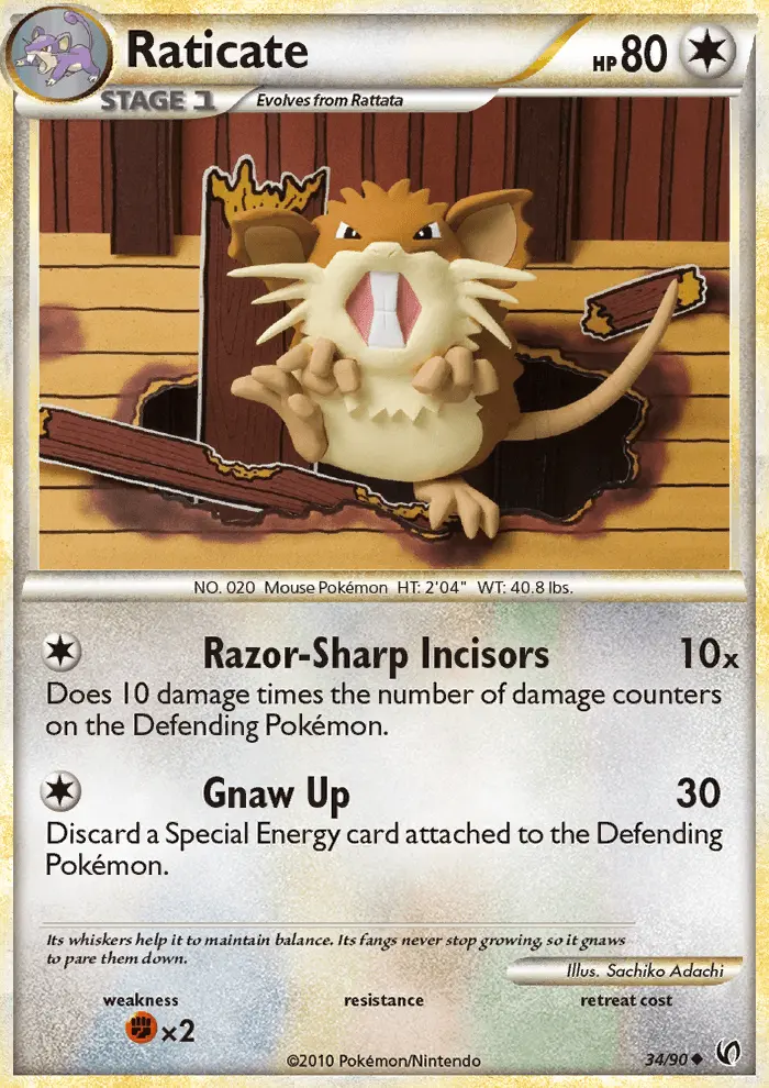 Raticate, Undaunted 34