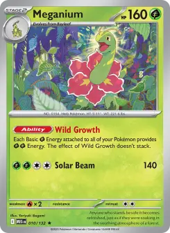 Meganium, Mega Evolution 010