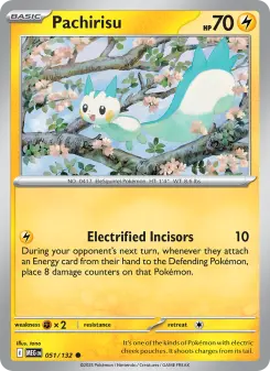 Pachirisu, Mega Evolution 051