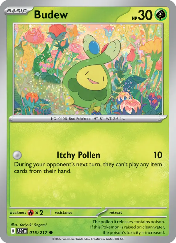 Budew, Ascended Heroes 016