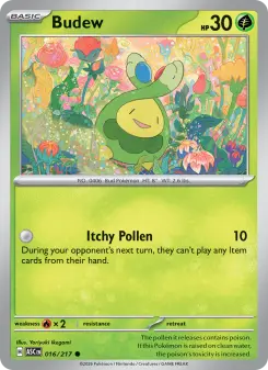 Budew, Ascended Heroes 016