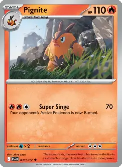 Pignite, Ascended Heroes 030