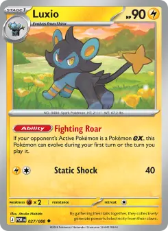 Luxio, Perfect Order 027