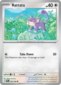 Rattata, Perfect Order 060