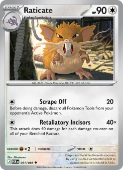 Raticate, Perfect Order 061