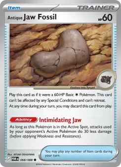 Antique Jaw Fossil, Perfect Order 068